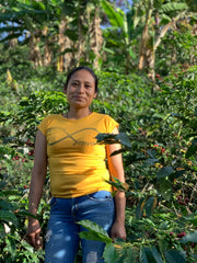 Colombia Los Guaduales -Yury Montanchez - Washed Process